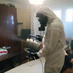 Дезинфекция от клопов в Шумихе