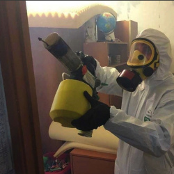 Уничтожение клопов в квартире. Шумиха